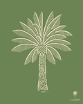 Canary Palm Print