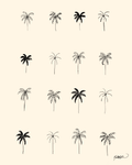 16 Palms Print