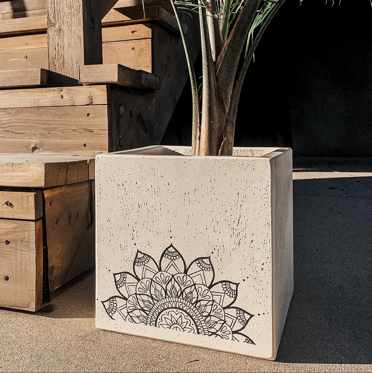 A square concrete planter in a warm off-white color with a black mandala design printed on the front, holding a palm plant. The planter is set outdoors on a concrete floor next to wooden deck stairs.
