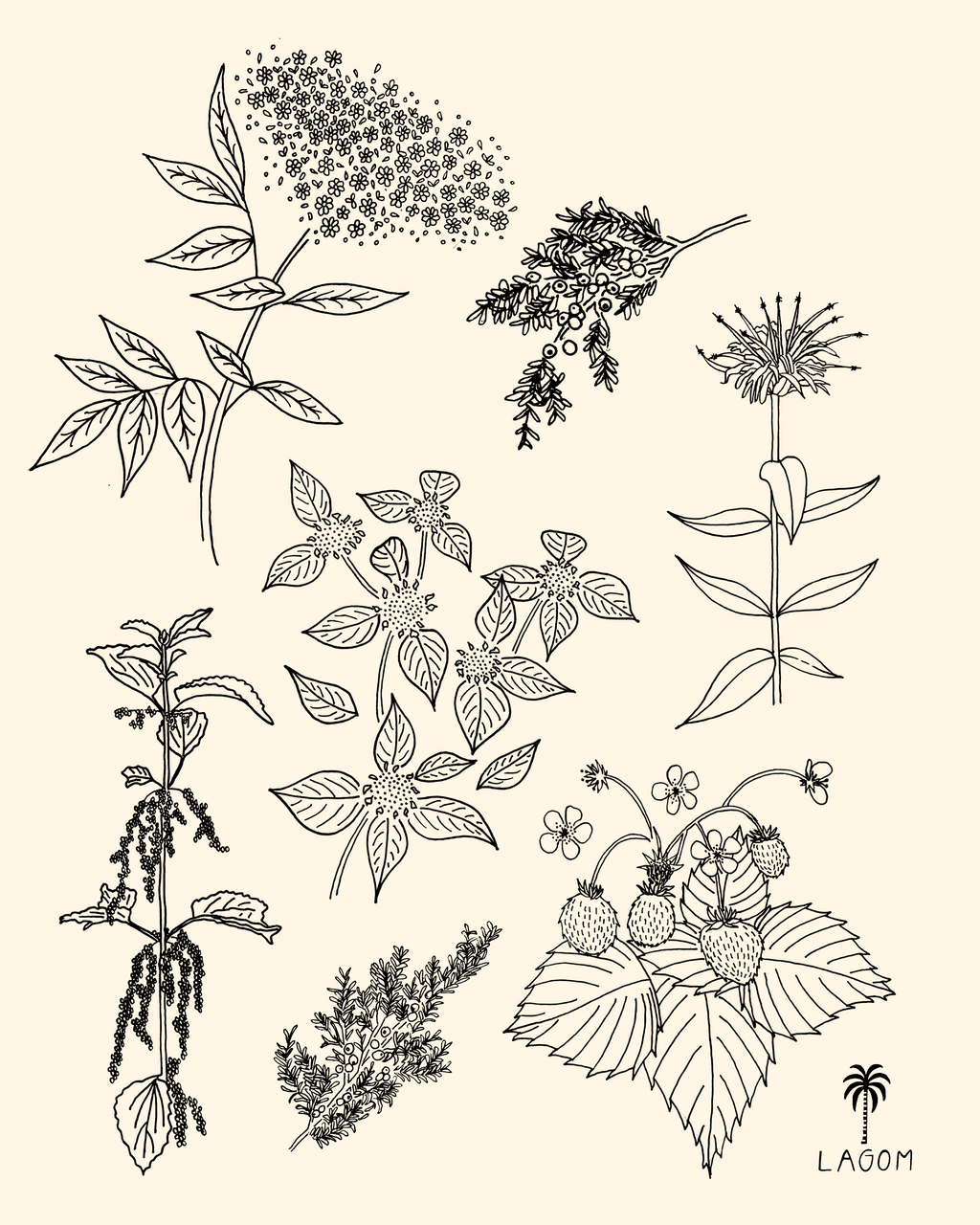 Mountain Medicine Print