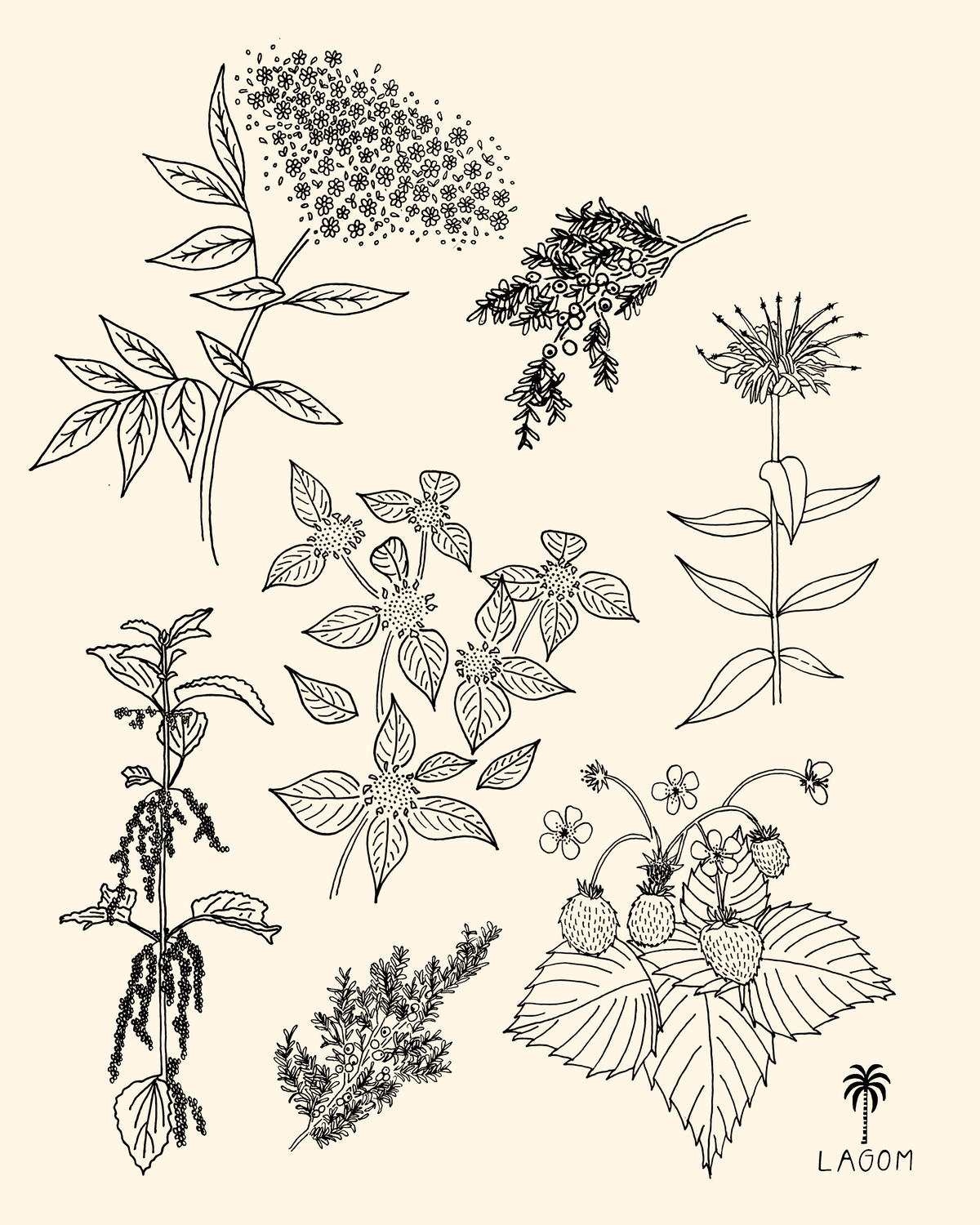 Mountain Medicine Print