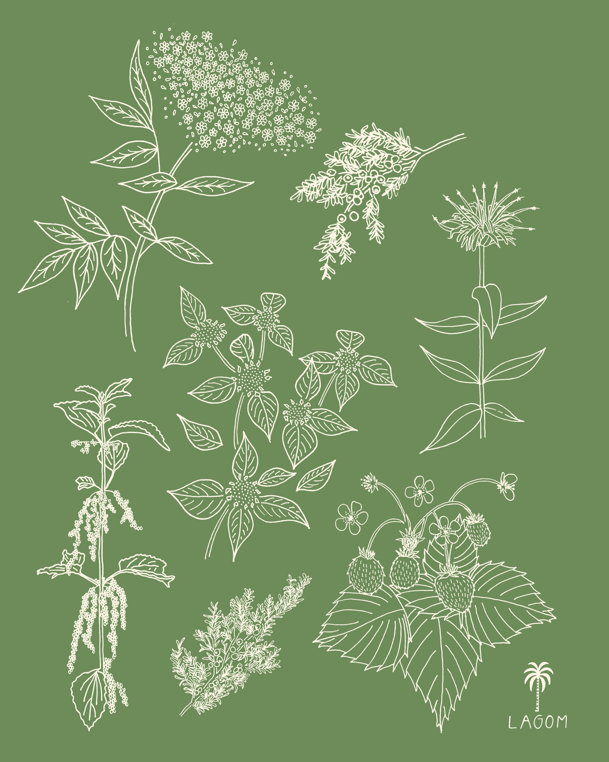 Mountain Medicine Print