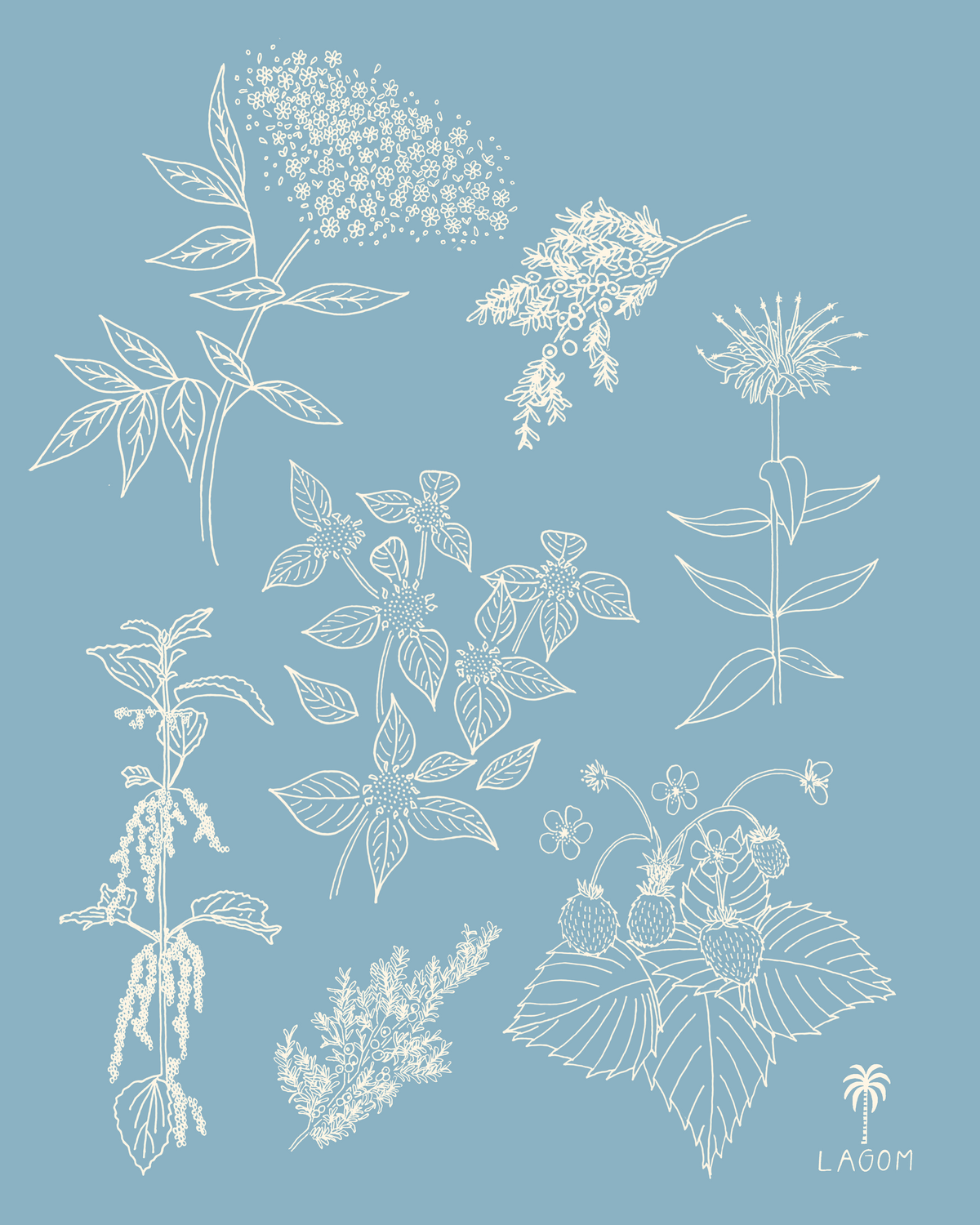 Mountain Medicine Print