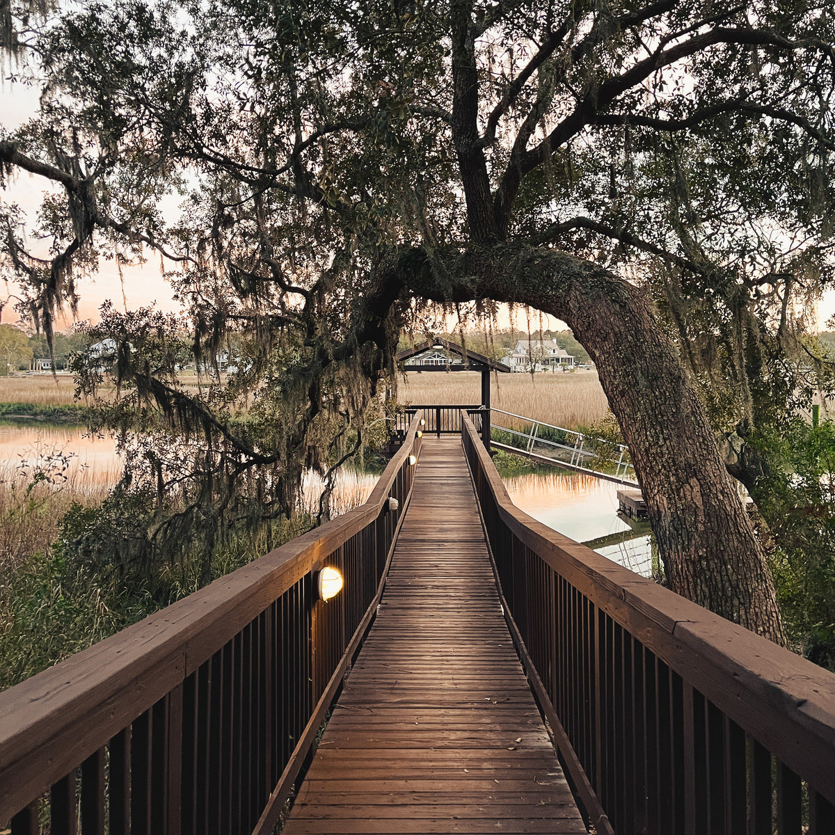 A wooden boardwalk bridge arches over calm water beneath a large mossy tree at dusk, with warm light glowing from a small lamp on the railing.