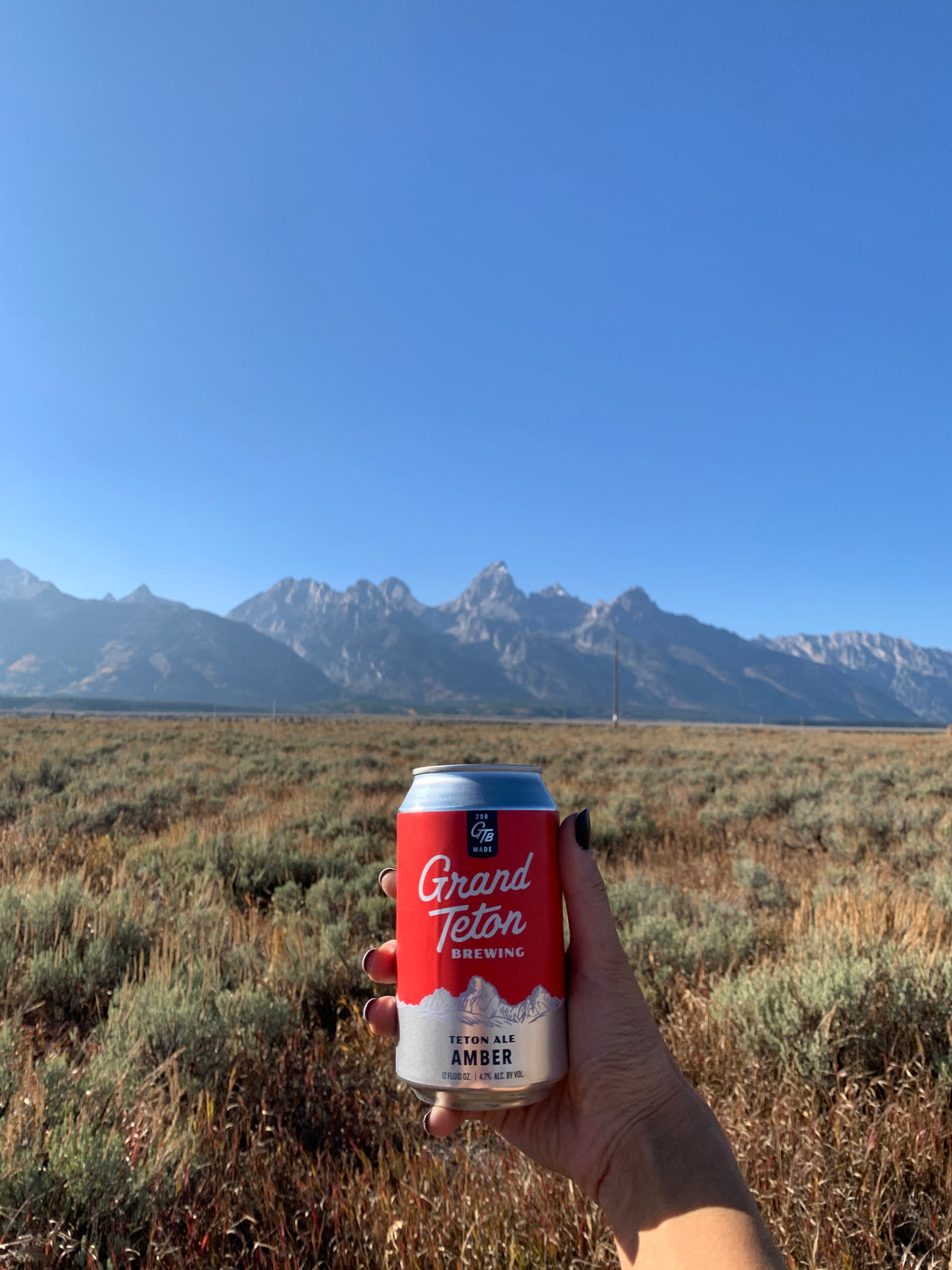 A hand holds a can of Grand Teton Brewing Amber Ale in front of a scenic landscape of Teton Mountains and a grassy field under a clear blue sky.