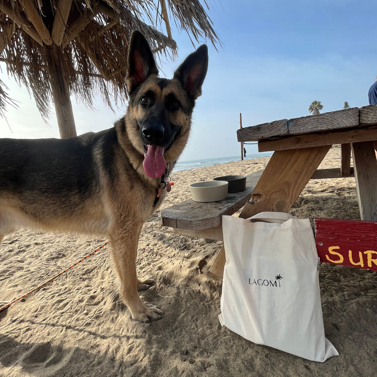 A German Shepherd dog stands on a sandy beach under a thatched umbrella next to a wooden picnic table. A white tote bag with the Lagom brand name is resting on the table, alongside bowls on the table and a red sign in the background.