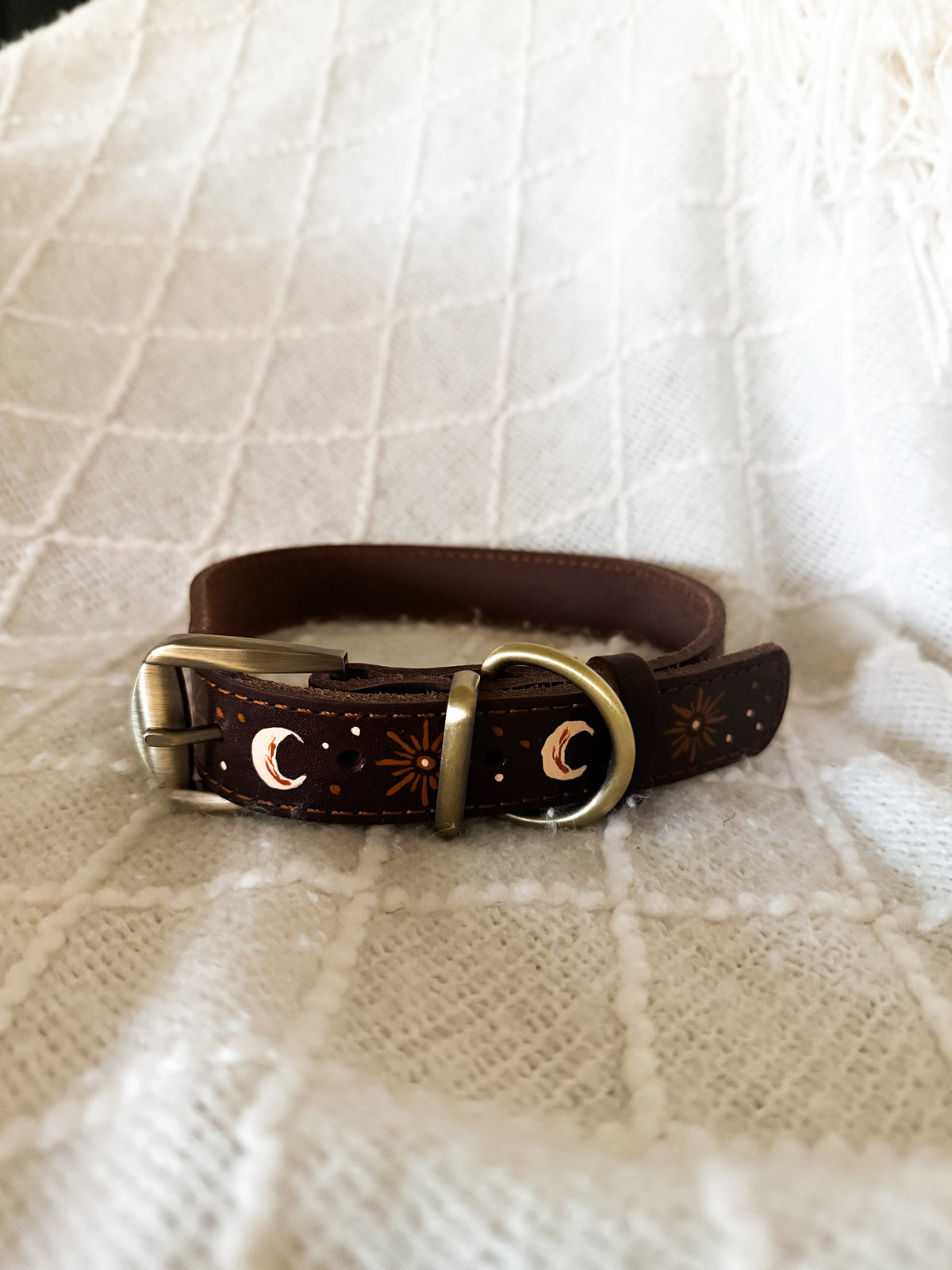 The Driggs Collar