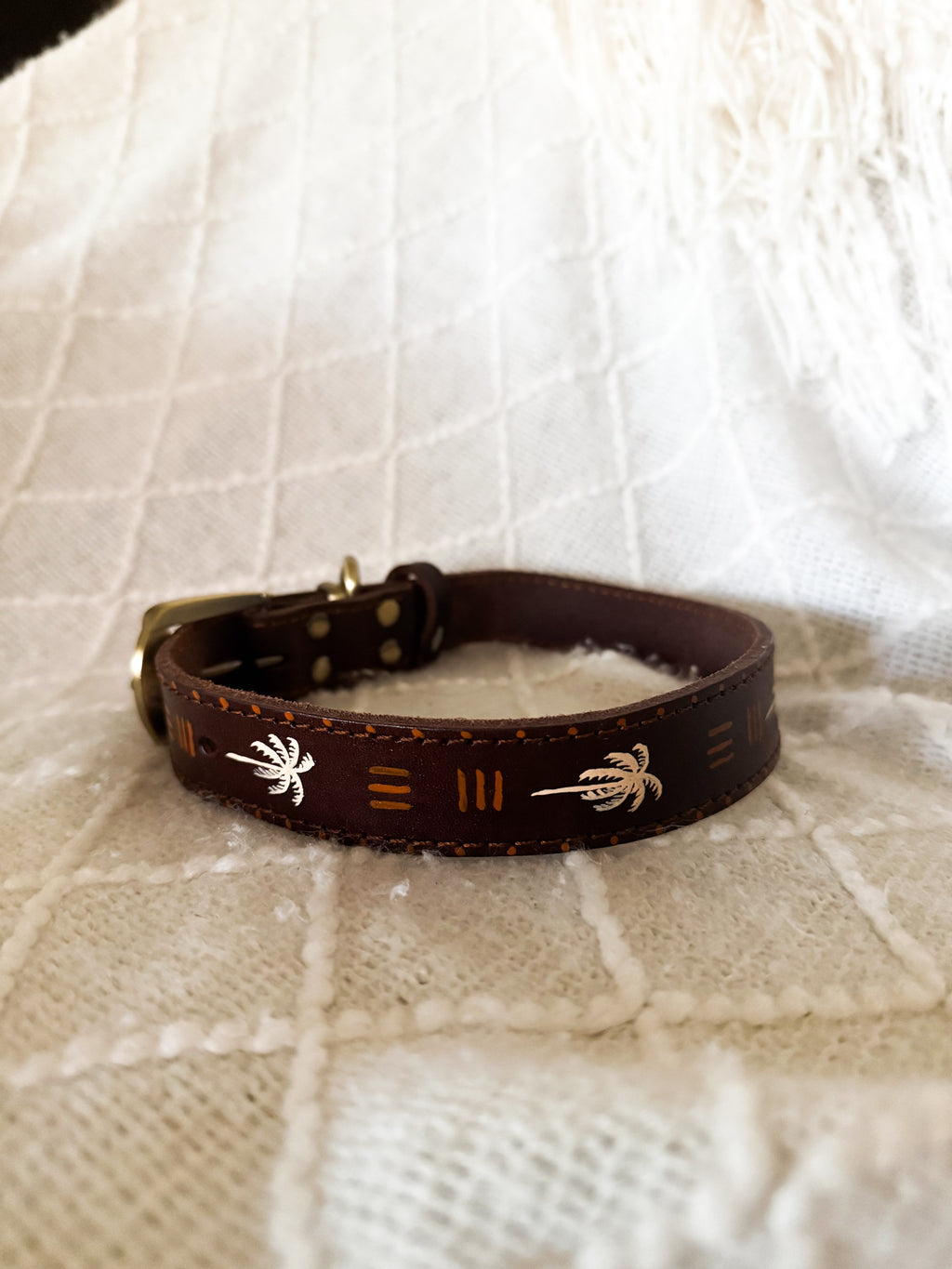 The Driggs Collar