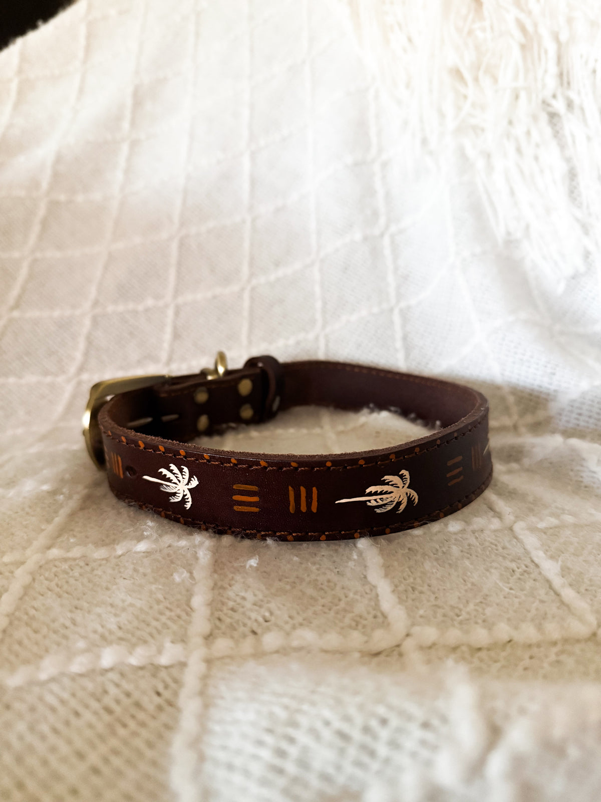 The Driggs Collar