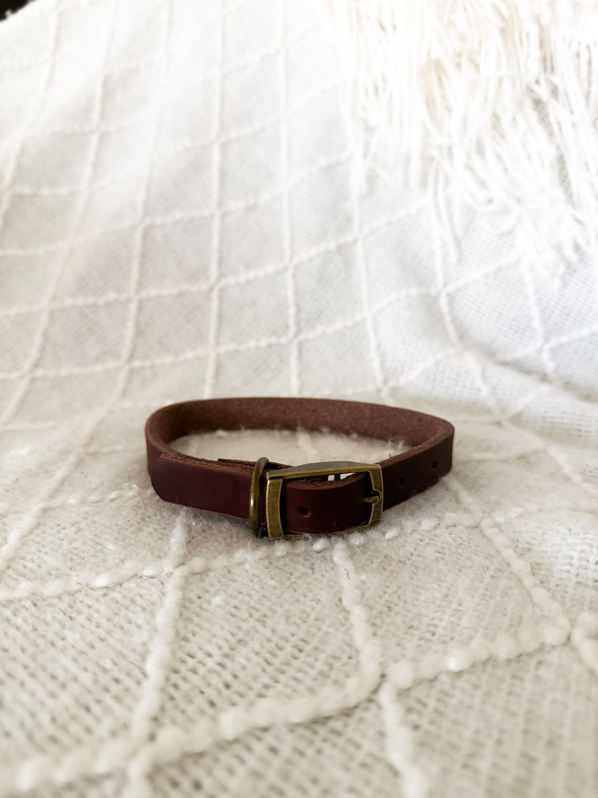 The Lucy Collar