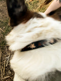 The Grizz Collar