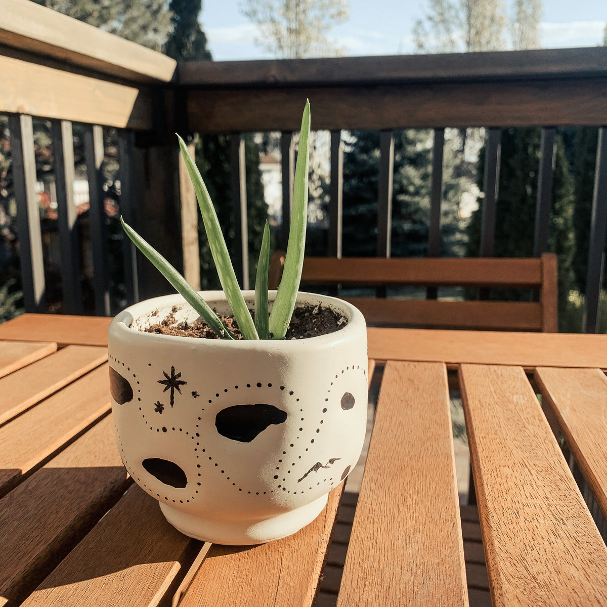 A small potted succulent in a cream-colored ceramic pot with black hand-painted abstract spots and lines, sitting on a wooden slatted table on a sunny outdoor deck.