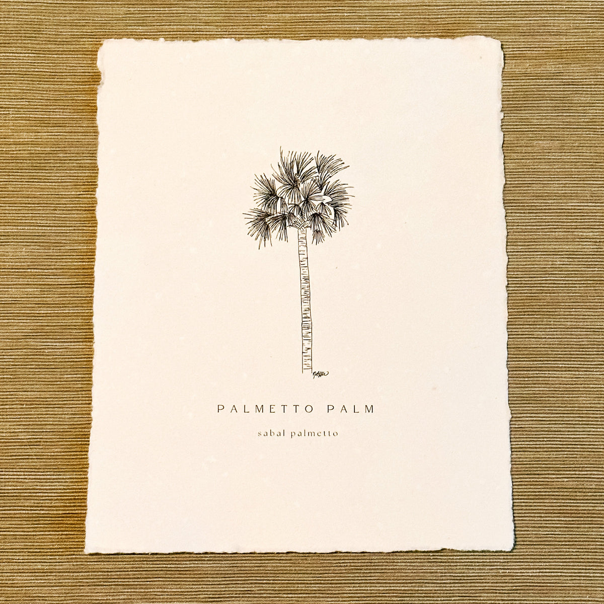 A square art print featuring a black ink illustration of a palm tree with the text 'PALMETTO PALM' and 'sabal palmetto' below, displayed on a textured olive-brown wood background.