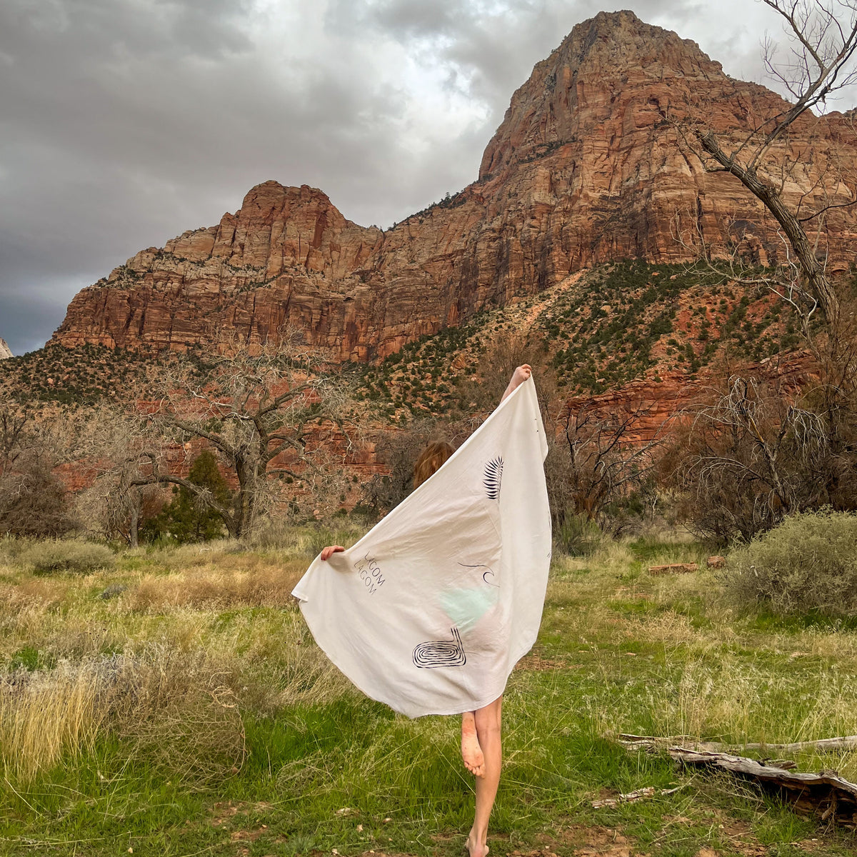 A person standing outdoors in a grassy desert landscape with large red rock formations and a dramatic cloudy sky, holding up a large off-white sheer fabric sheet or scarf that billows in the wind.