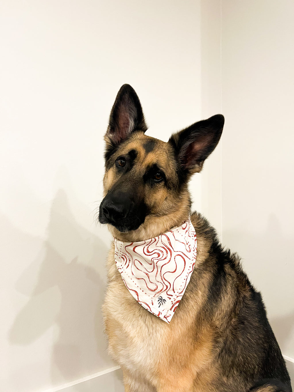 The Pirate Bandana
